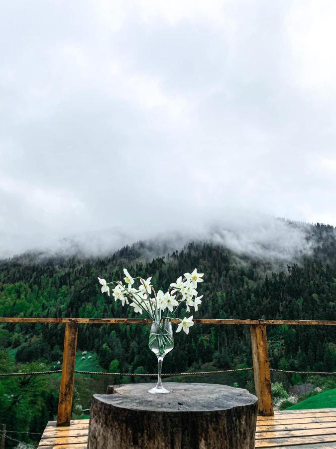 Mitarbi Silence - Cozy Holiday Cottages In Mountains Borzsomi Kültér fotó