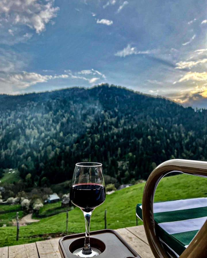 Mitarbi Silence - Cozy Holiday Cottages In Mountains Borzsomi Kültér fotó