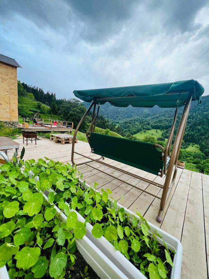 Mitarbi Silence - Cozy Holiday Cottages In Mountains Borzsomi Kültér fotó