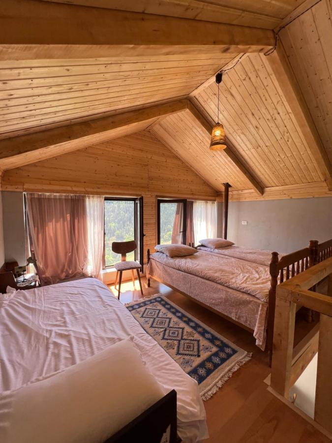 Mitarbi Silence - Cozy Holiday Cottages In Mountains Borzsomi Kültér fotó