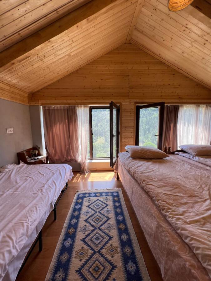 Mitarbi Silence - Cozy Holiday Cottages In Mountains Borzsomi Kültér fotó