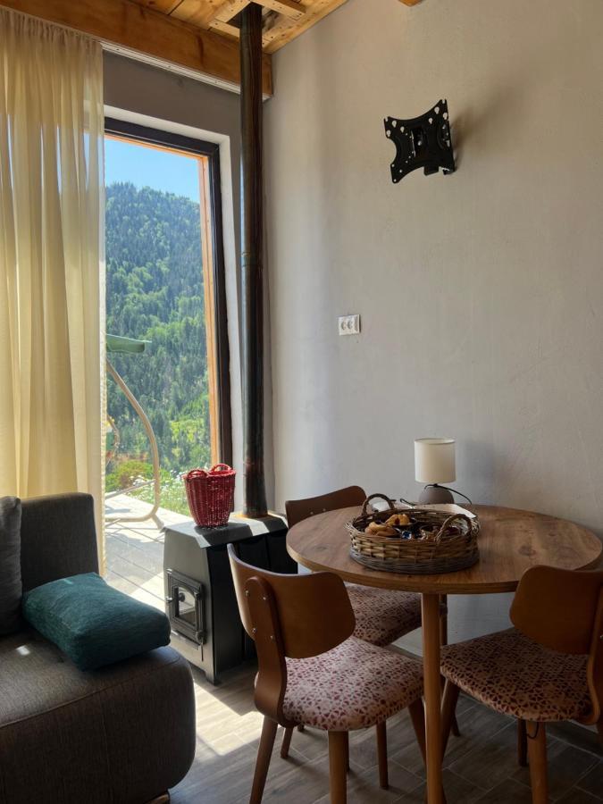 Mitarbi Silence - Cozy Holiday Cottages In Mountains Borzsomi Kültér fotó