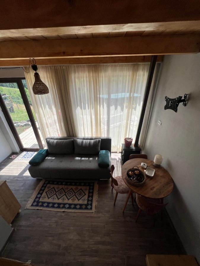 Mitarbi Silence - Cozy Holiday Cottages In Mountains Borzsomi Kültér fotó