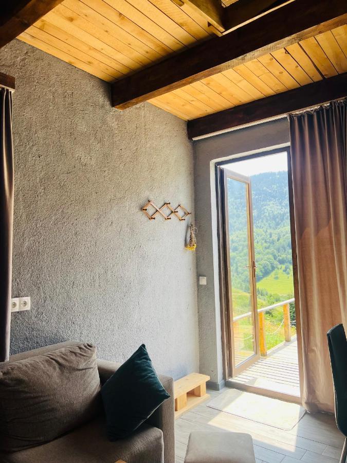 Mitarbi Silence - Cozy Holiday Cottages In Mountains Borzsomi Kültér fotó