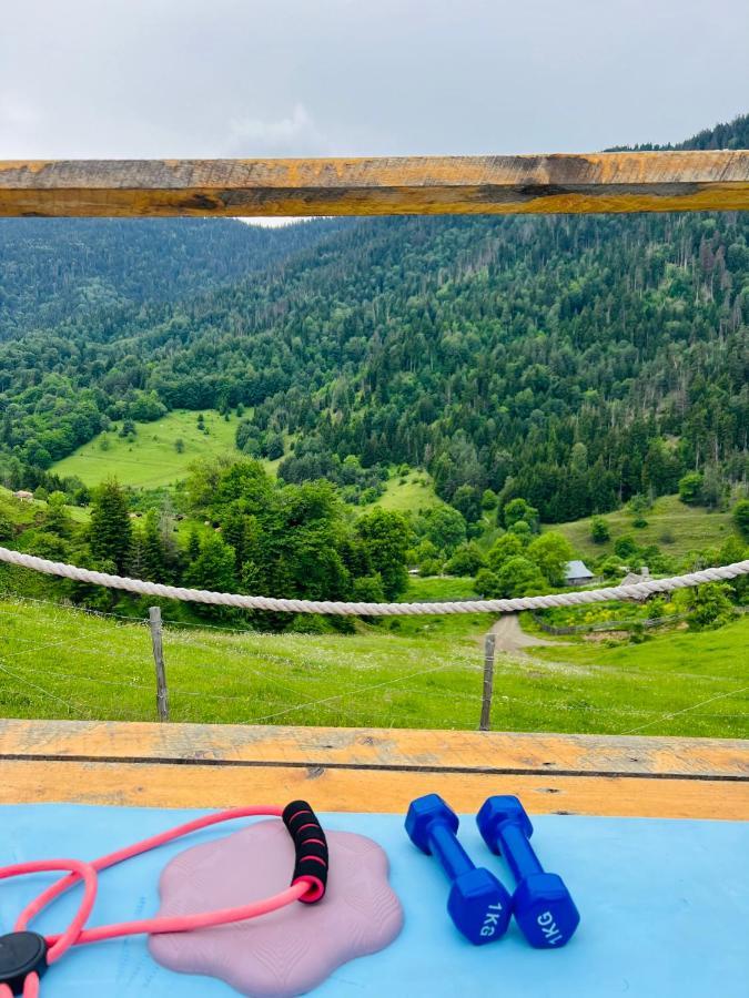 Mitarbi Silence - Cozy Holiday Cottages In Mountains Borzsomi Kültér fotó