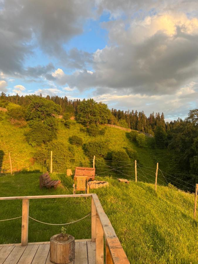 Mitarbi Silence - Cozy Holiday Cottages In Mountains Borzsomi Kültér fotó